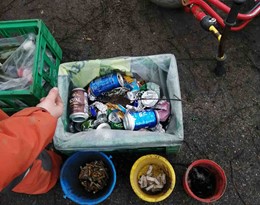 339161189 563785872234484 3472829788520974056 N